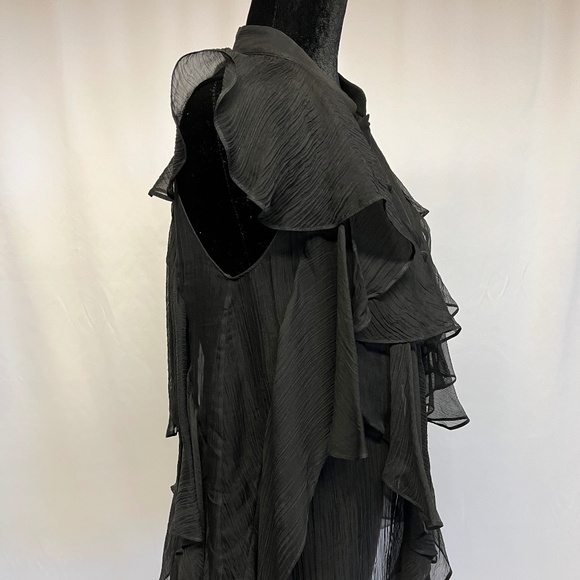 Stunning Alexander McQueen Chiffon Top - Picture 5 of 9